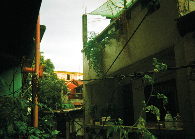 Angelica A. Uy - Jungle View - Artwork - Projekt Homes